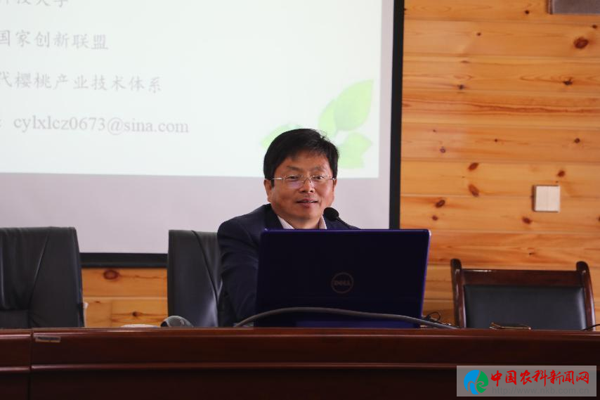 802464684a594e9a93942538ba1c2db1.png 802464684a594e9a93942538ba1c2db1.png