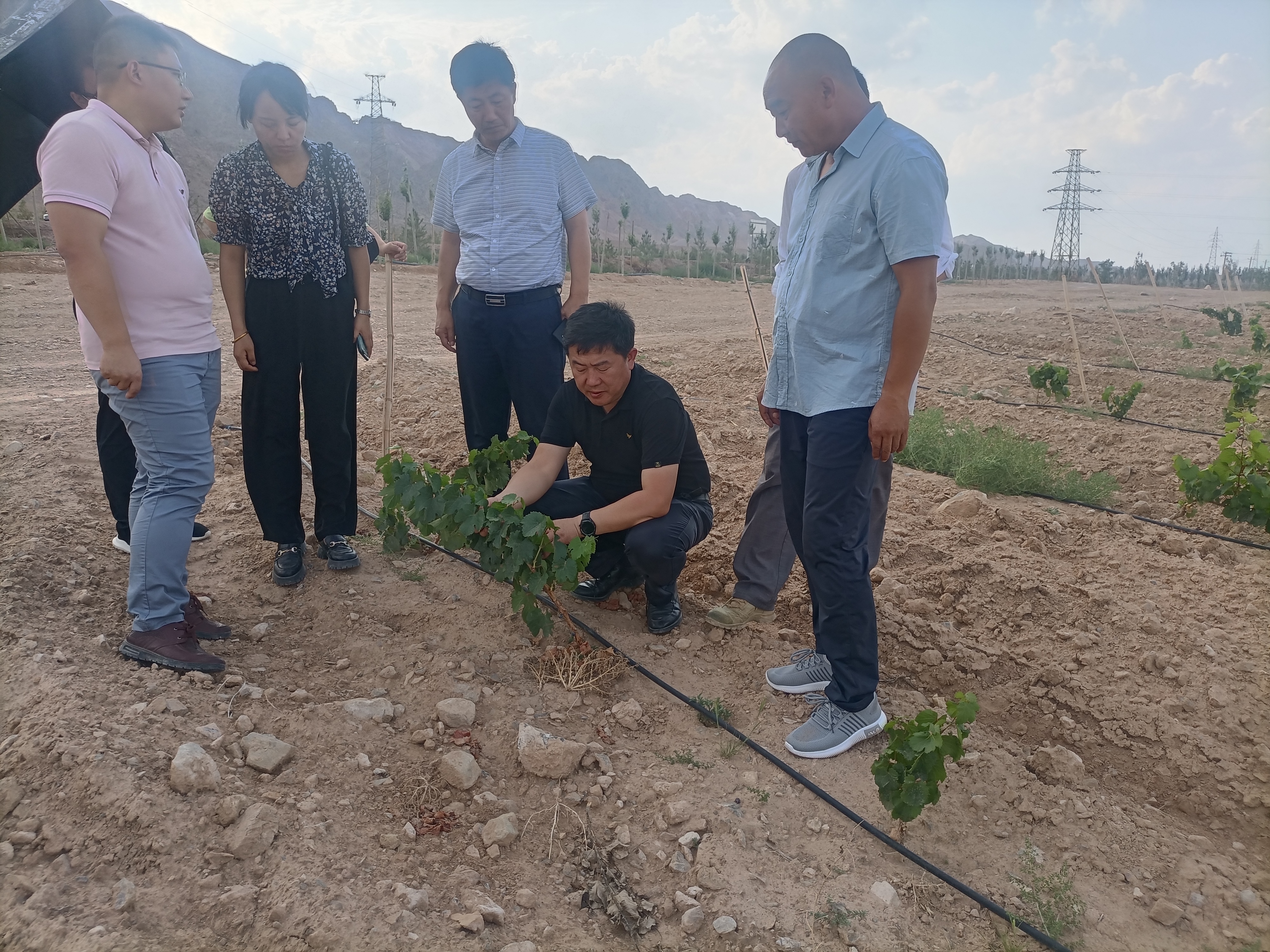 7e35528cbdaa439c95dded0202b70abe.jpg 7e35528cbdaa439c95dded0202b70abe.jpg